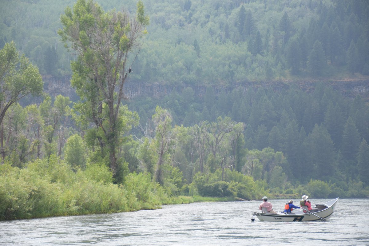 Across the country, Americans from very different backgrounds are finding common ground through conservation. We can all agree that we depend on the land.
When the land thrives, we all do.
Make a powerful investment toward saving the places you love today: gaininggroundusa.donorsupport.co/-/XZTXHPKA