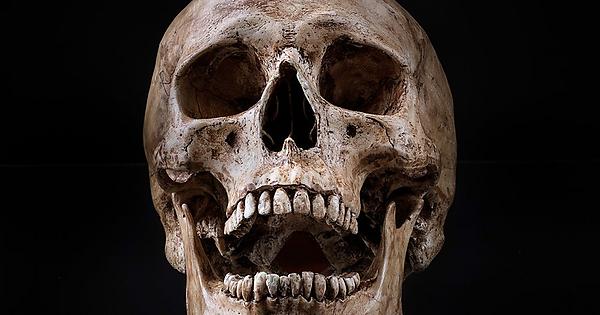 Not Kinoko Nasu being creepy deranged skull...