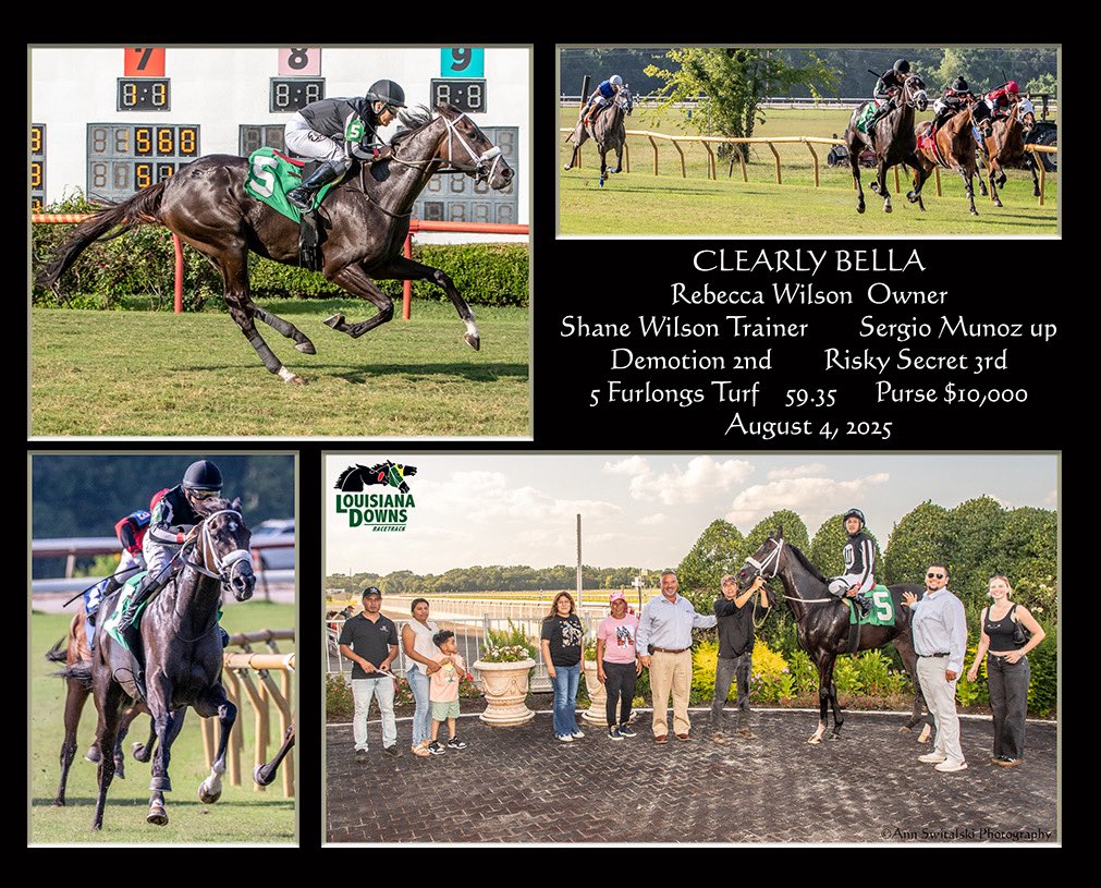 Shane Wilson Racing Stables (@swracingstables) on Twitter photo Clearly Bella sat a beautiful rail trip with jockey Sergio Munoz and kicked home down the lane to break her maiden easily yesterday! The Clearly Now filly is owned by Rebecca Wilson!
๐ธ: <a href="/hodgesphoto/">Hodges Photography</a> Clearly Bella sat a beautiful rail trip with jockey Sergio Munoz and kicked home down the lane to break her maiden easily yesterday! The Clearly Now filly is owned by Rebecca Wilson!
๐ธ: <a href="/hodgesphoto/">Hodges Photography</a>