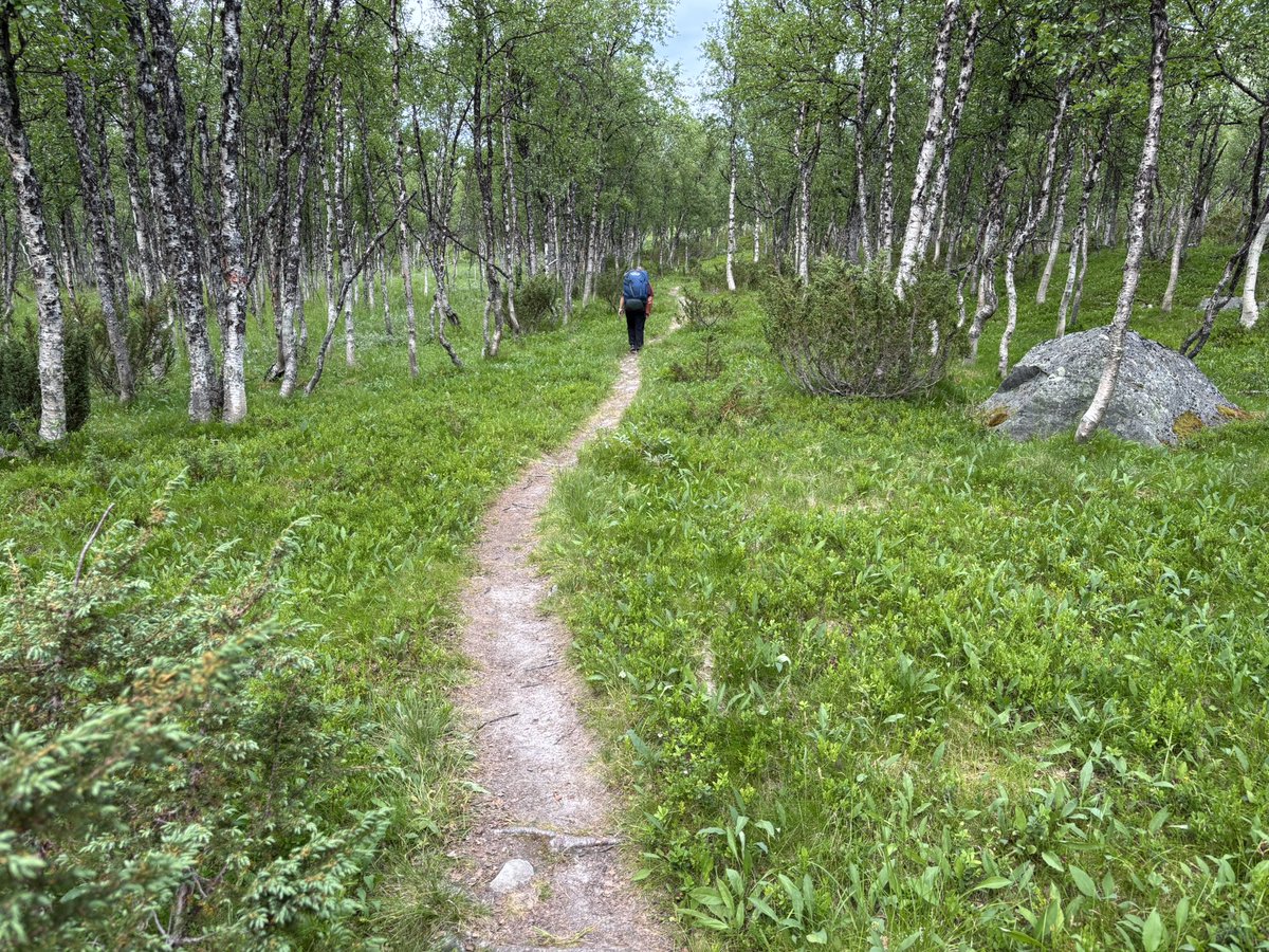 Carmine Minutillo tweet media