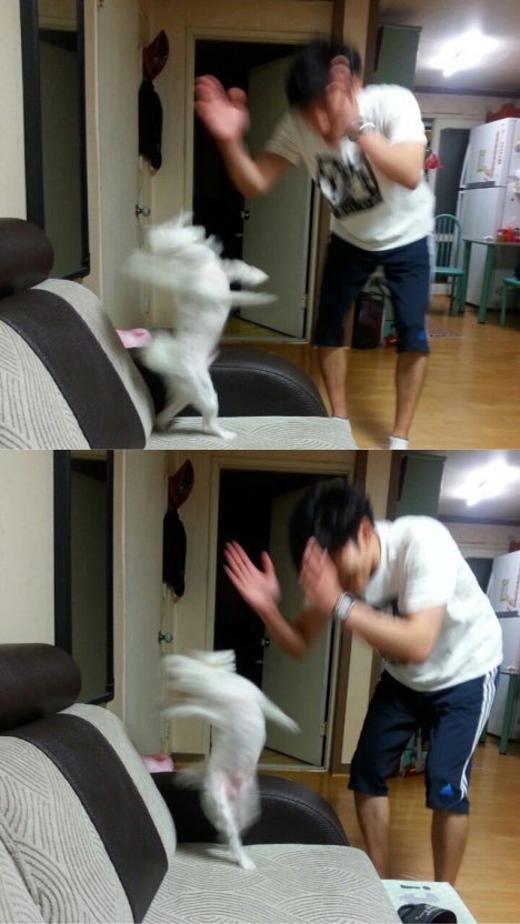 이게 건욱이랑 멤버들이래
진짜그만웃겨