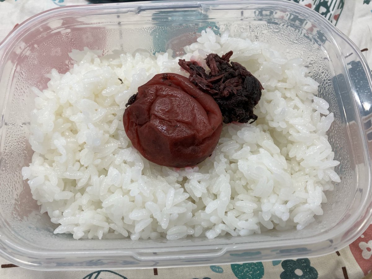 本日の弁当ご飯🇯🇵

紀州の友達が
天塩にかけた
梅干し送ってくれた❣️

自分でも
ちょくちょく漬けるけど

物理的に
天日で3日も干せない😂💧

彼女のは
お日様☀️の
味がした🥰

干したての
お布団みたく✨

すごく
嬉しくて
懐かしい☺️