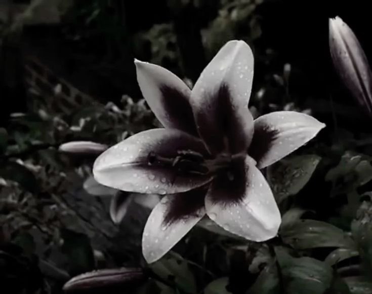 this is how i see you by the way .𖥔 ݁ ˖