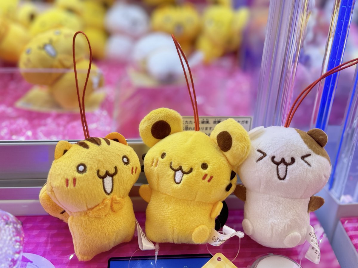 【おすすめ景品🎁】

今日のおすすめ景品は
ポムポムプリン チームプリンいろんなカオ！マスコット です！

チームプリンの新しいマスコットが登場中✨
普通の顔と喜んでいる顔の２種類があります😊

ぜひゲットしてみてください🙌

＃タイステ多摩
＃チームプリン