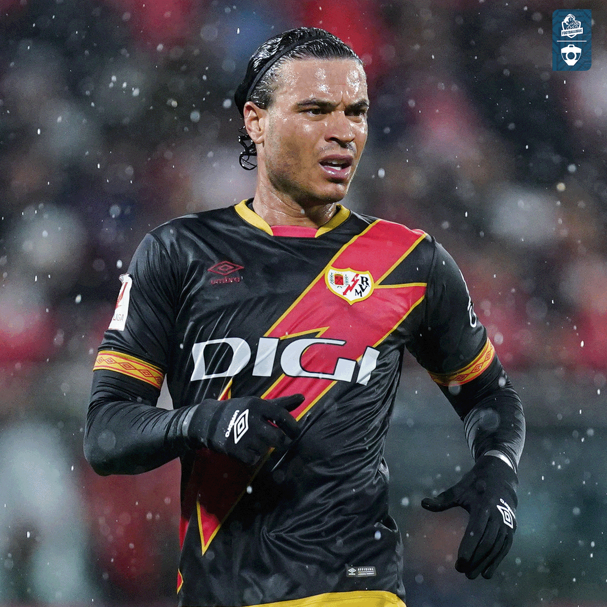 Footballogue tweet media