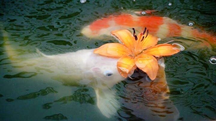 moodyonmoon's tweet image. 