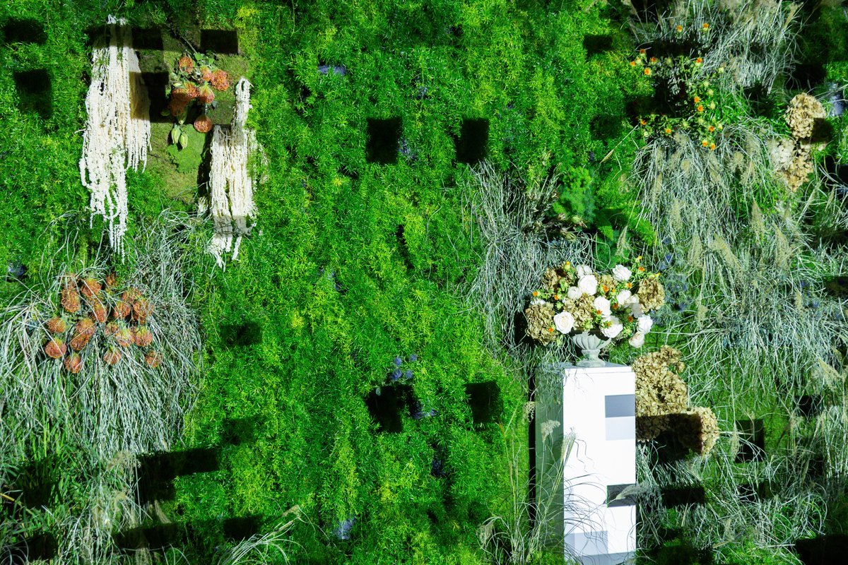 santelmomuseoa's tweet image. ✔  &quot;Lorategi ilustratu baten geometria sekretua&quot; instalazioa
🍃 Landare tapiz bat barne duen instalazioa izanik, elementu honen bilakaerak baldintzatuko du instalazioaren itxiera data
🔚 Zatoz berandu baino lehen
🌿Artista: Jaime de los Ríos
@donostiakultura @DonostiakoUdala…