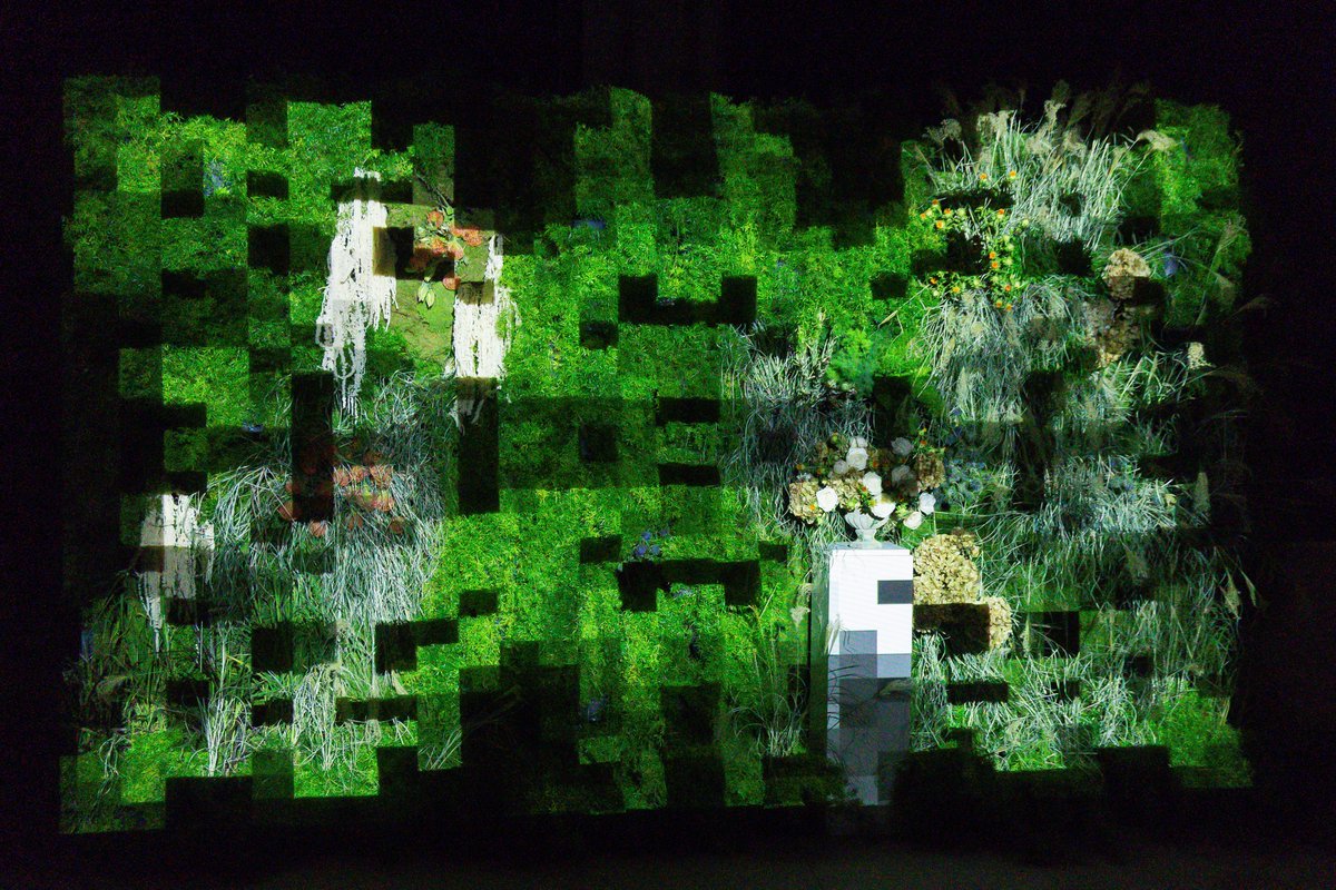 santelmomuseoa's tweet image. ✔  &quot;Lorategi ilustratu baten geometria sekretua&quot; instalazioa
🍃 Landare tapiz bat barne duen instalazioa izanik, elementu honen bilakaerak baldintzatuko du instalazioaren itxiera data
🔚 Zatoz berandu baino lehen
🌿Artista: Jaime de los Ríos
@donostiakultura @DonostiakoUdala…