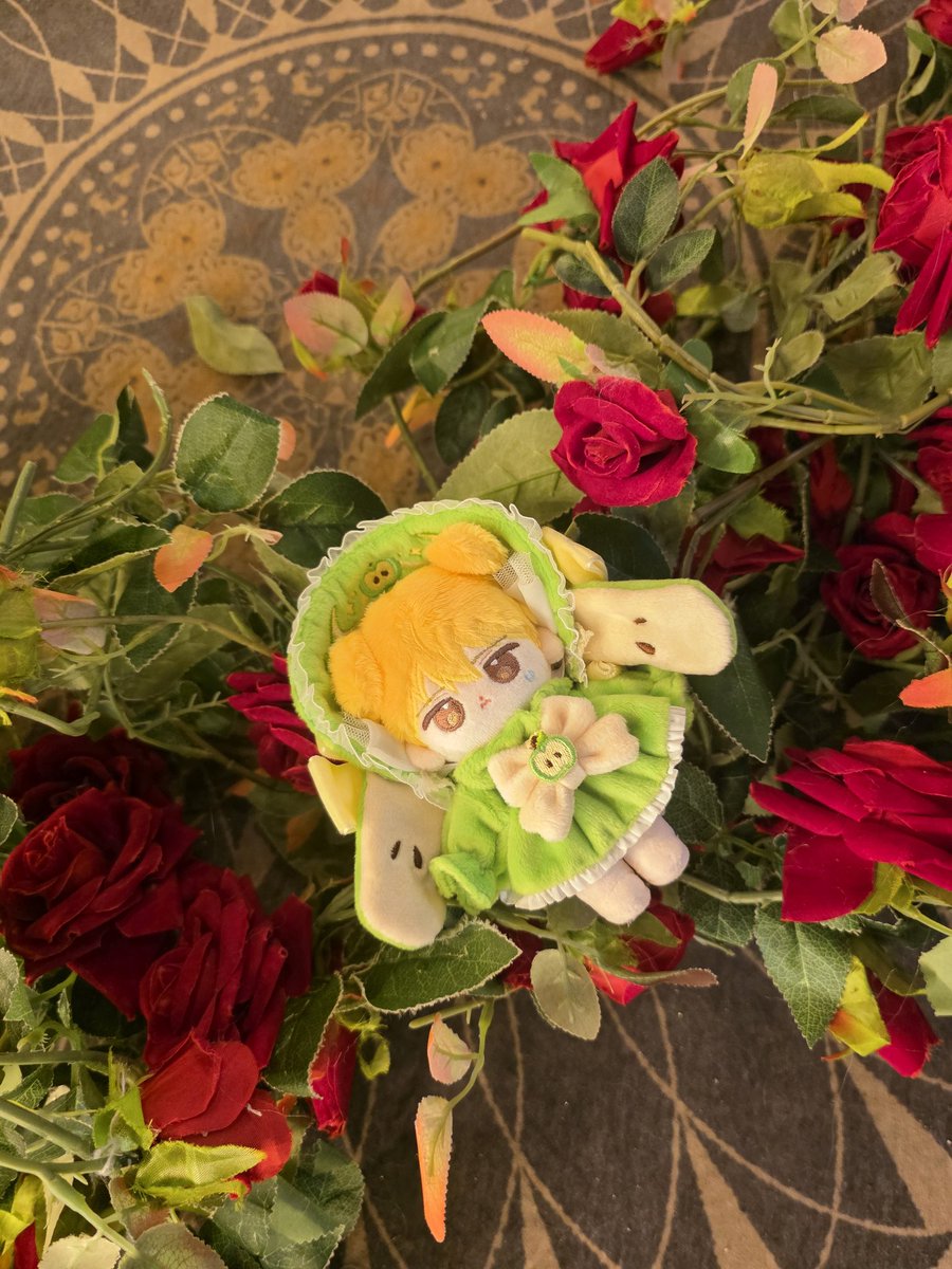 노랑강쥐랑 애플버니그린이 너무 찰딱이었어요!!! 푸릇한 청사과 뭉대!!!🍏💕