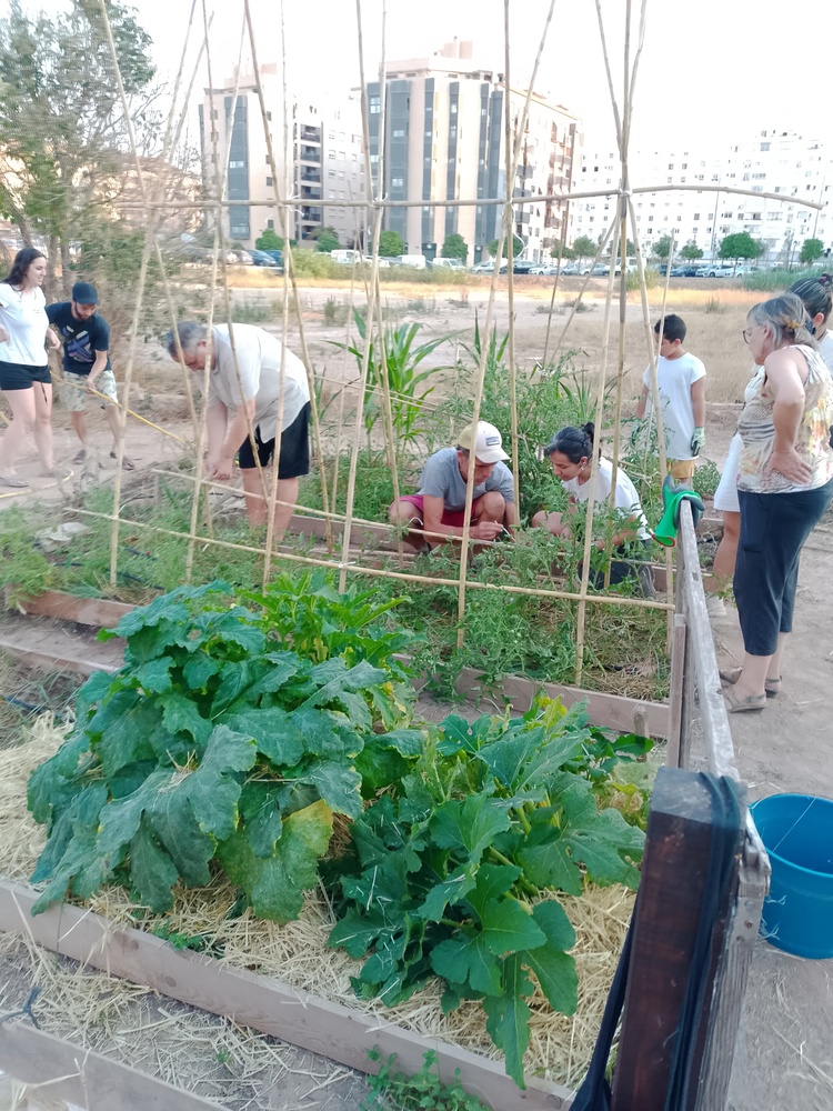 Bosco Global ONGD (@boscoglobalongd) on Twitter photo 🆘 I si València es convertira en desert? 🌵🔥 En 25 anys podríem perdre el clima mediterrani. Des de Bosco Global #ImpulsantEcosocial 🌱✊ Gràcies <a href="/AjuntamentVLC/">Ajuntament València</a> 🔗 Llegeix la reflexió completa a boscoglobal.org/ca/i-si-valenc… 🆘 I si València es convertira en desert? 🌵🔥 En 25 anys podríem perdre el clima mediterrani. Des de Bosco Global #ImpulsantEcosocial 🌱✊ Gràcies <a href="/AjuntamentVLC/">Ajuntament València</a> 🔗 Llegeix la reflexió completa a boscoglobal.org/ca/i-si-valenc…