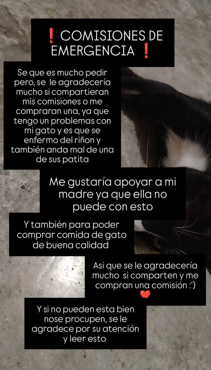 instagram.com/laflojeradelim…

Una amiga se encuentra en una situación complicada con sus mascotas y ha abierto comisiones de emergencia. Cualquier tipo de apoyo, ya sea encargando una comisión o compartiendo su trabajo para mayor visibilidad, sería de gran ayuda.