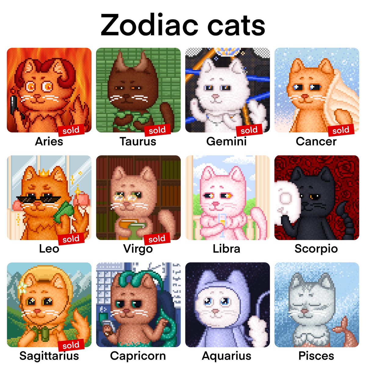 maltysel 🐈🐈‍⬛ tweet media