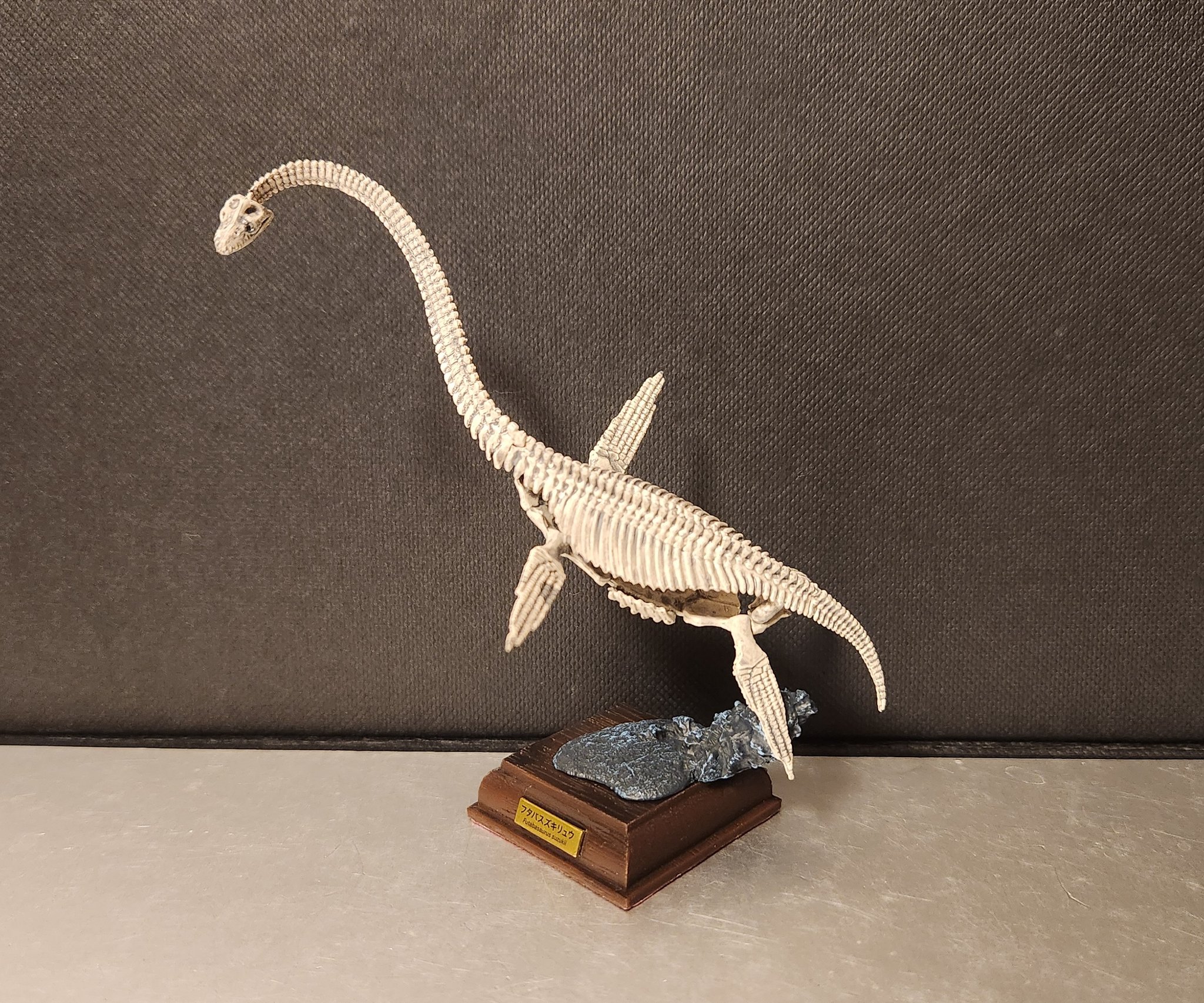 【中古】 治身さんの自然暮らしノート/海竜社/二部治身 Z-DRAGON】76900 製品制電ストレッチ長袖ジャンパー[2024年春夏
