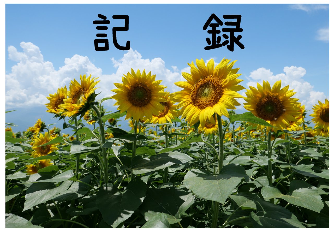 TE 不毛の大地(日)3枚組 61JJhAXReNL._AC_SY200_QL15_.jpg