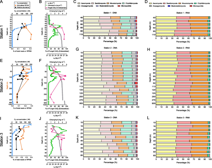 In #Microbiome 

🔍Investigating the diversity and activity of fungi in oxygen minimum zones (OMZ) of the ocean 

🚨Fungi are key contributors to particle remineralization in the ocean, modulating the coupled cycles of carbon &amp; nitrogen in OMZs

👉doi.org/pzxh