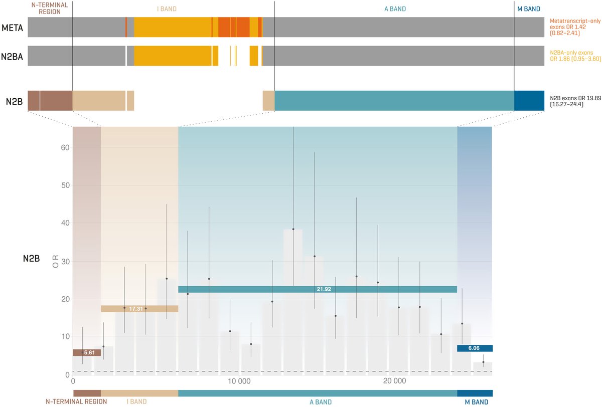 📚 En la práctica clínica, las guías diagnósticas son fundamentales. Nos orientan y nos ayudan a tomar decisiones basadas en evidencia.

‼️ Pero, a veces, dejan fuera de nuestro campo de visión ciertas variantes que pueden ser relevantes y aún no han sido incorporadas en estas