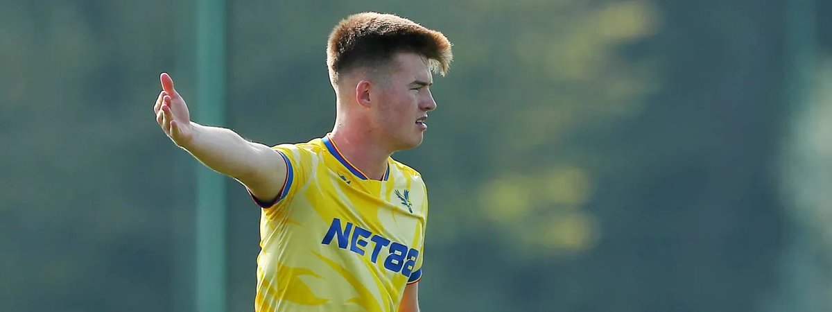 Another young Irish player making his way at a Premier League club. 🇮🇪 #greenshoots

eireguide.substack.com/p/teenager-luk…