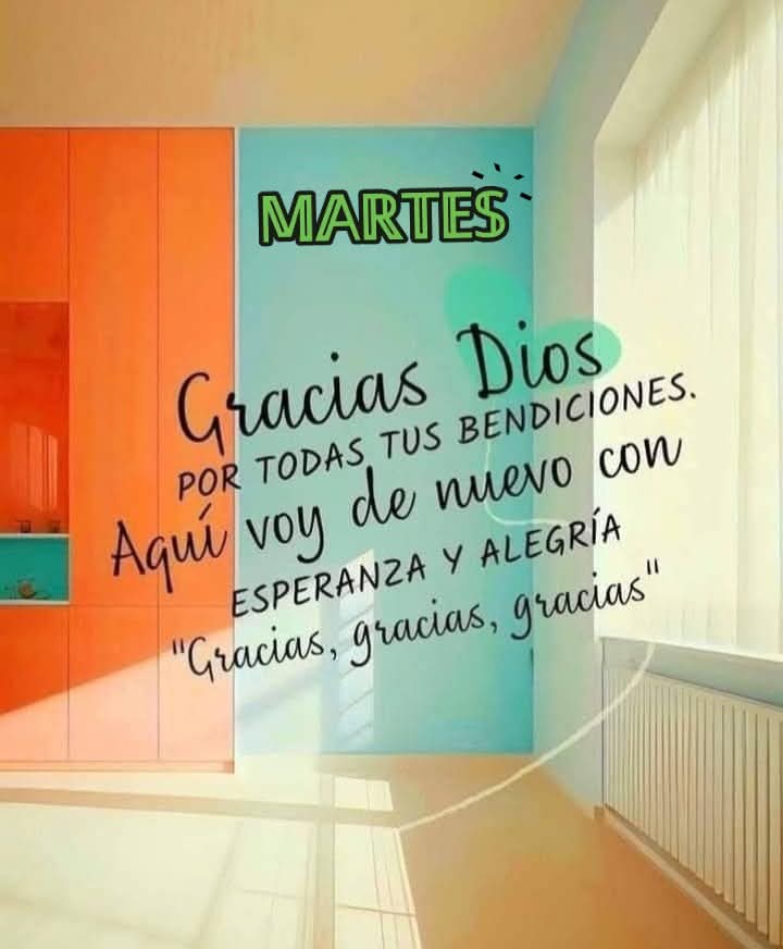 ☀️🪴☀️🪴☀️🪴☀️🪴