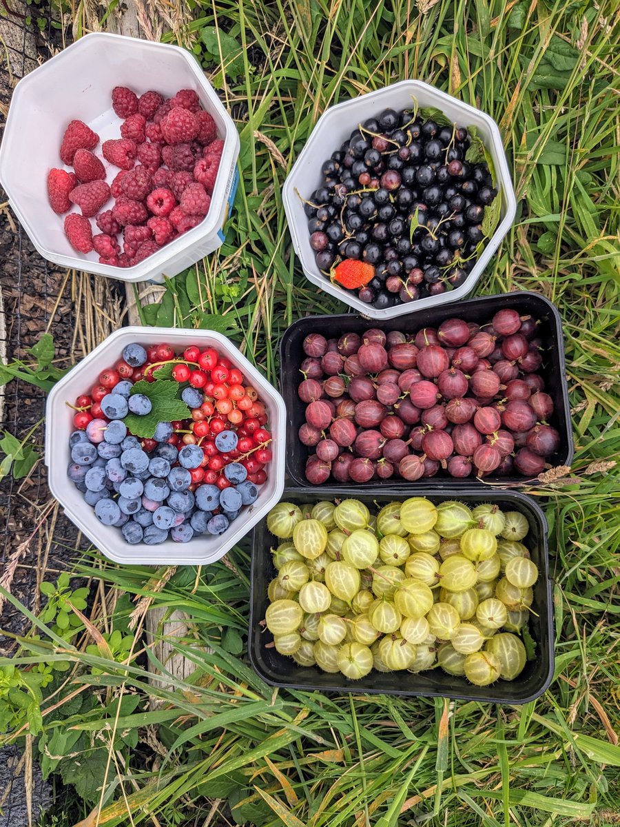 Jenny Jones (@greenjennyjones) on Twitter photo As a very keen allotment holder I will fight this nonsensical <a href="/UKLabour/">The Labour Party</a> policy with a fury!!
Allotments keep us mentally and physically healthy, give us fresh food, inspire us to give our produce away in a gift culture, and are a haven for many ecosystems. As a very keen allotment holder I will fight this nonsensical <a href="/UKLabour/">The Labour Party</a> policy with a fury!!
Allotments keep us mentally and physically healthy, give us fresh food, inspire us to give our produce away in a gift culture, and are a haven for many ecosystems.