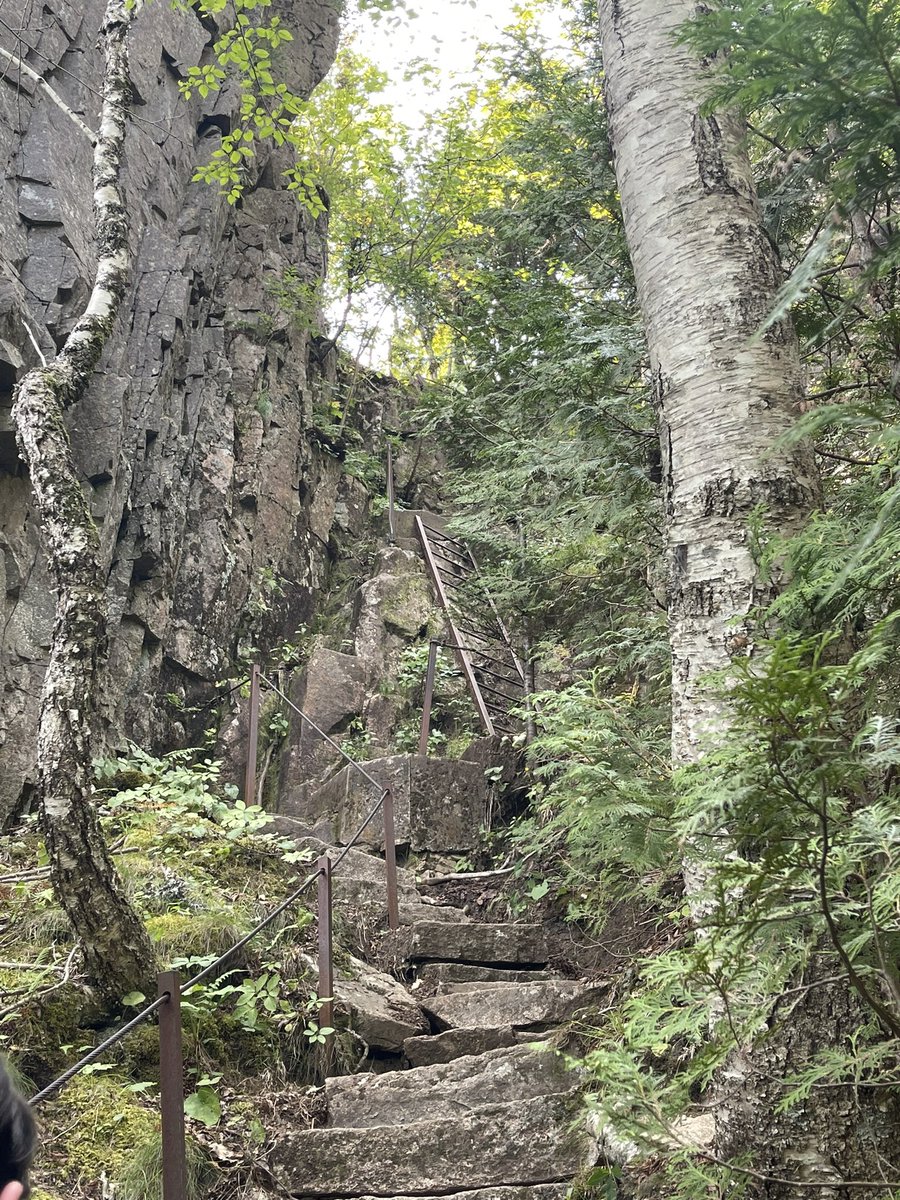 If you haven’t been to Acadia you need to go