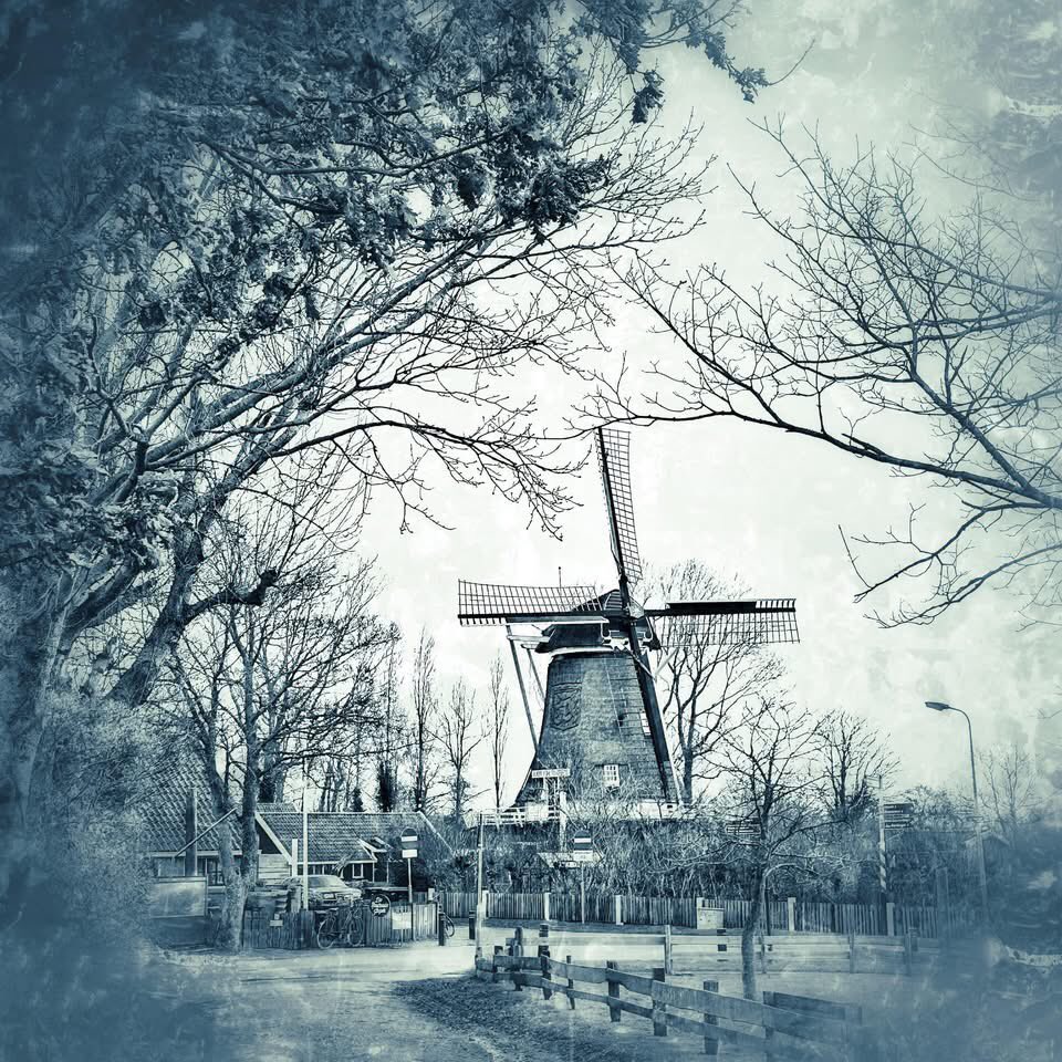 Rondje Terschelling 2025 [22] 🌥️🌬️W5🚵‍♂️