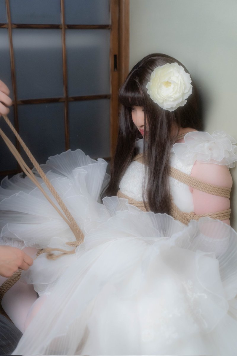 かえで (@maple1782) on Twitter photo 
