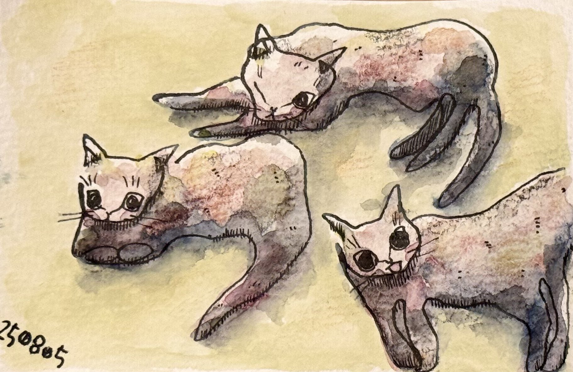 猫の絵 かとう・さくら (イラストレーター) on X: 