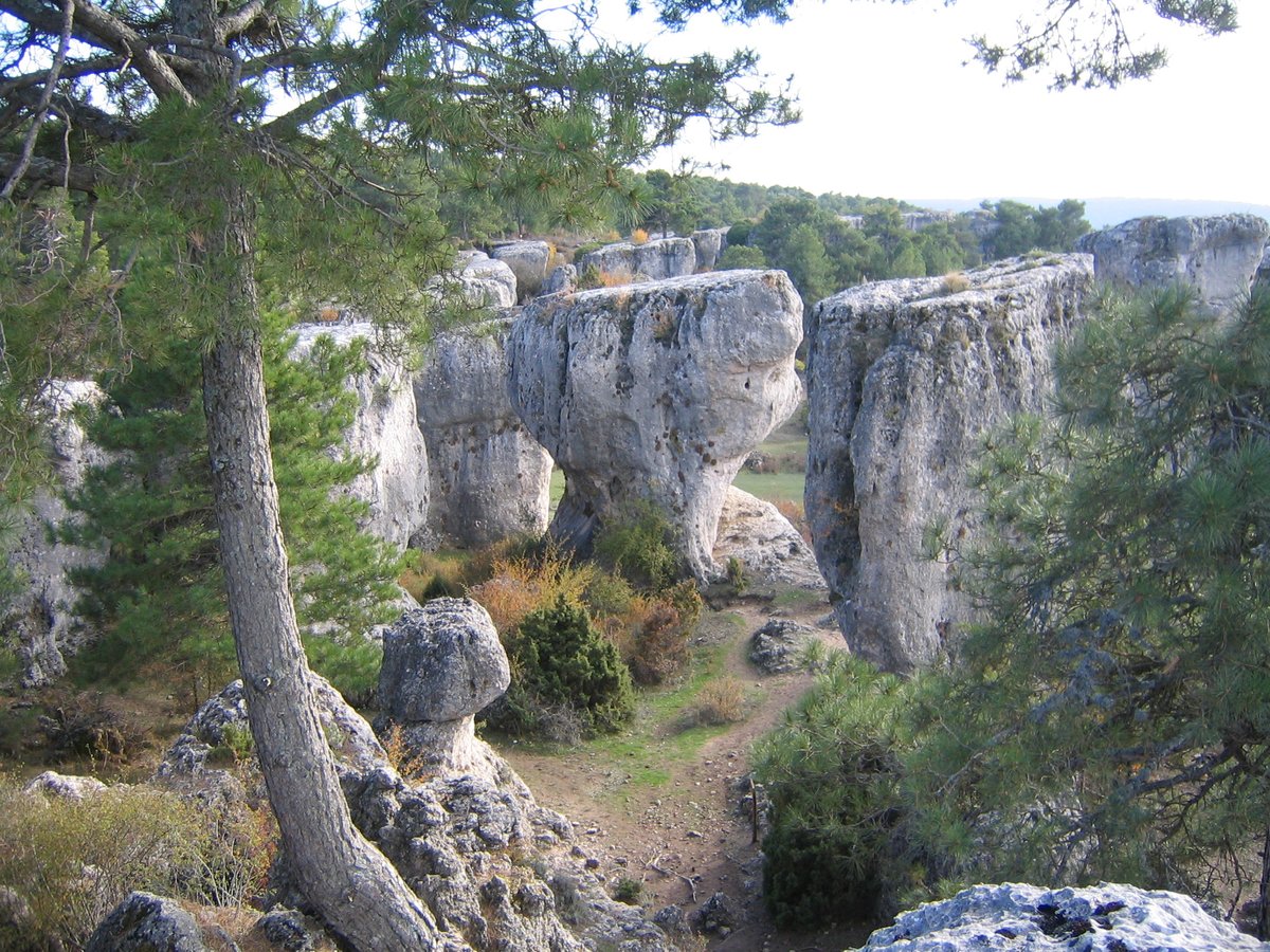 Este sábado 9 de agosto, dentro del programa Vive tu Espacio, te invitamos a la ruta interpretada + actividad nocturna "En busca de las estrellas" 🌜✨🔭, en un paraje único: Los Callejones de Las Majadas
Inscríbete aquí (es gratis) 👇
areasprotegidas.castillalamancha.es/rap/espacios-n…