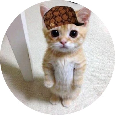 Debt_Cats's tweet photo. I’m assembling a team https://t.co/CiaDjejIbv
