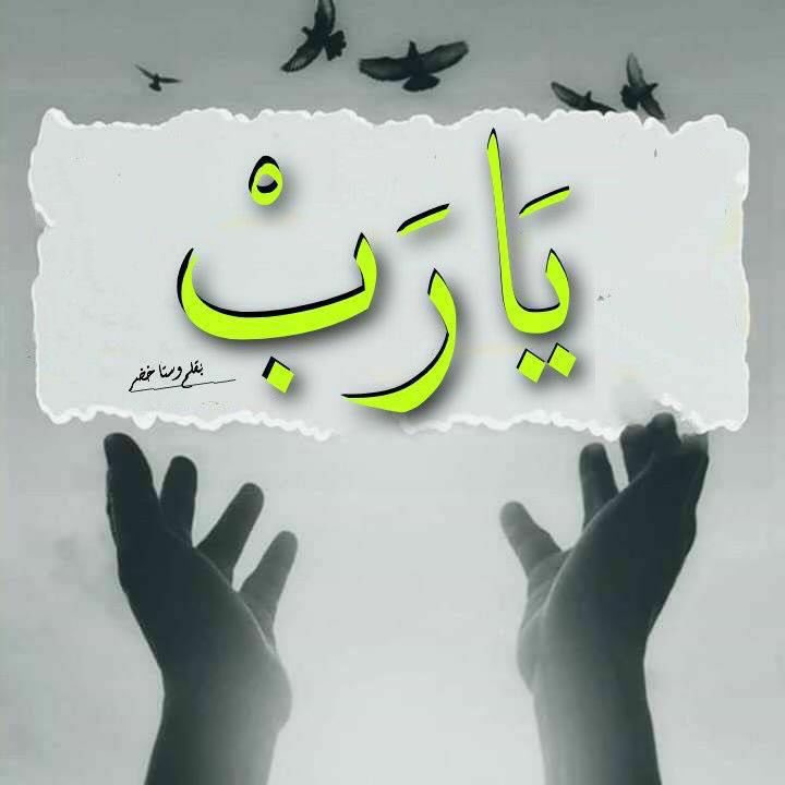 ا̍ڷڔٰا̍ڜد ּ 𝒜ℒℛ𝒜𝒮ℋ𝒟 tweet media