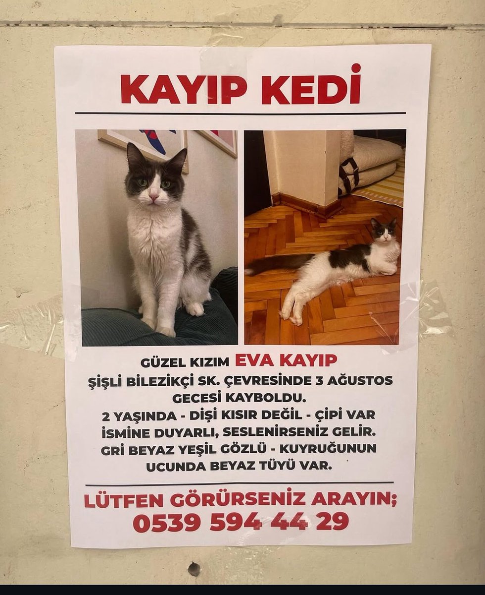 Şişli KAYIP‼️