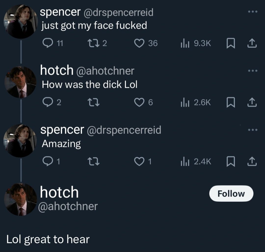 ace 🐈‍⬛ tweet media