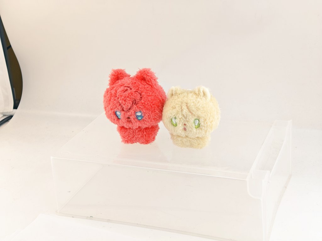 撮影の仕事があるの？✨🐶🐹📷