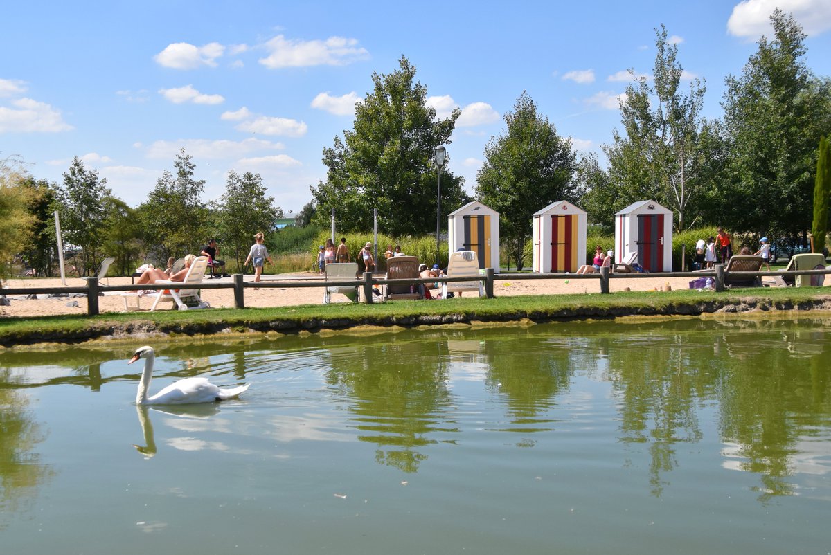𝗙𝗲𝗿𝗺𝗲 𝗮𝘂𝘅 𝗼𝗶𝗲𝘀
Les  beaux jours reviennent, les températures montent profitez-en 📷
La Ferme aux Oies est un parc de loisirs et de sport détente pour les familles.📷
#marcqenbaroeul #vacances #parc