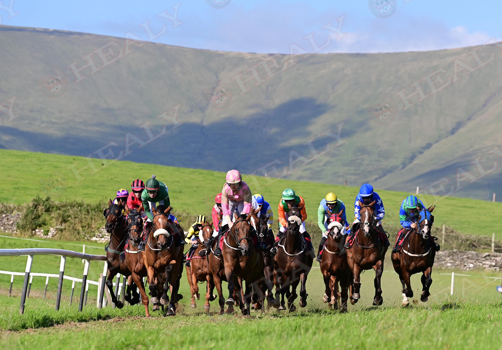 Pat Healy (@patcashhealy) on Twitter photo If ye are lucky to be in The Kingdom this week folks don't forget The <a href="/DingleRaces/">Dingle Races</a> Friday, Saturday and The Derby on Sunday.
Some names to watch out for this year...
Kian Tubs McNally
Camillus Byrne
Kacey Lou Carberry
Reece Holohon,
Jake Cromwell
Nina Doherty
Always great craic. If ye are lucky to be in The Kingdom this week folks don't forget The <a href="/DingleRaces/">Dingle Races</a> Friday, Saturday and The Derby on Sunday.
Some names to watch out for this year...
Kian Tubs McNally
Camillus Byrne
Kacey Lou Carberry
Reece Holohon,
Jake Cromwell
Nina Doherty
Always great craic.