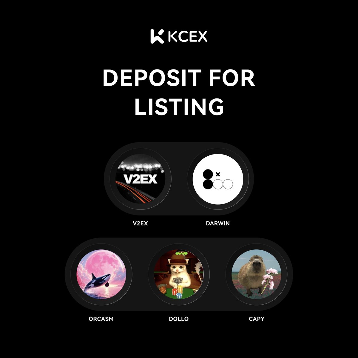 KCEX_Official's tweet image. 📢 #KCEX Weekly&quot;Deposit for Listing&quot; is LIVE !

🗓️ Vote Period: Aug 5, 4:00 AM – Aug 6, 4:00 AM (UTC)
Support the project you love by depositing now:

🔸$V2EX
🔸$DARWIN
🔸$ORCASM
🔸$DOLLO
🔸$CAPY

🔥 Vote here 👉 kcex.com/depositing-vote

#V2EX #DARWIN #ORCASM #DOLLO #CAPY
