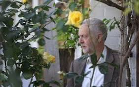 MikeD (@mjdaly57) on Twitter photo In June 2016, Alan Titchmarsh wrote an article in the <a href="/Telegraph/">The Telegraph</a> in which he said that ‘The overgrown state of Jeremy Corbyn’s front garden resembles the man himself.’
Mr. Titchmarsh, have you got anything to say about the decision by Angela Rayner/<a href="/UKLabour/">The Labour Party</a> to allow councils to In June 2016, Alan Titchmarsh wrote an article in the <a href="/Telegraph/">The Telegraph</a> in which he said that ‘The overgrown state of Jeremy Corbyn’s front garden resembles the man himself.’
Mr. Titchmarsh, have you got anything to say about the decision by Angela Rayner/<a href="/UKLabour/">The Labour Party</a> to allow councils to