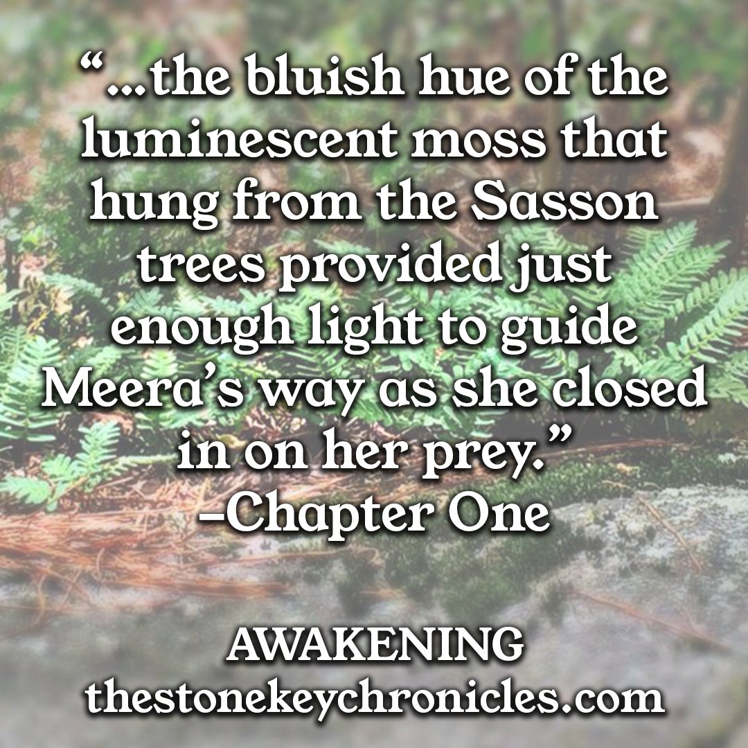 StoneKeySeries's tweet image. This #tskctuesday you get your first reveal of Matui, a dense forest bordering the ocean and home of the seclusive Matuian tribe. #tskc #tskcawakening #awakening #epicfantasy #epicfantasyseries #epicfantasynovel #indieauthor #fantasybooks #fantasyreader