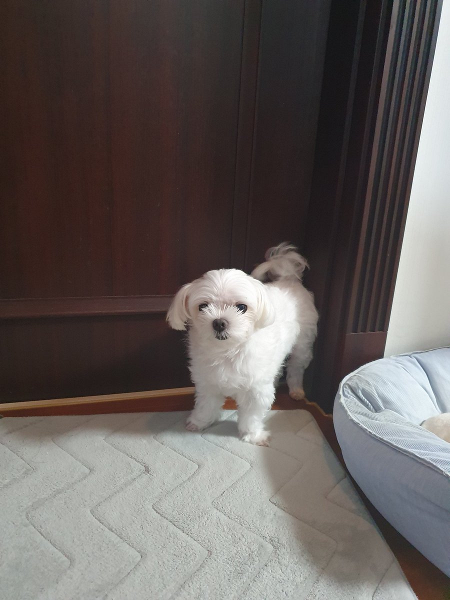 화장실 지키는 용맹한 가나지