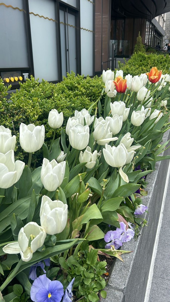 ¡ Gracias Dios !!! Buenos días 🌞🦋💐🌱🌱🌱