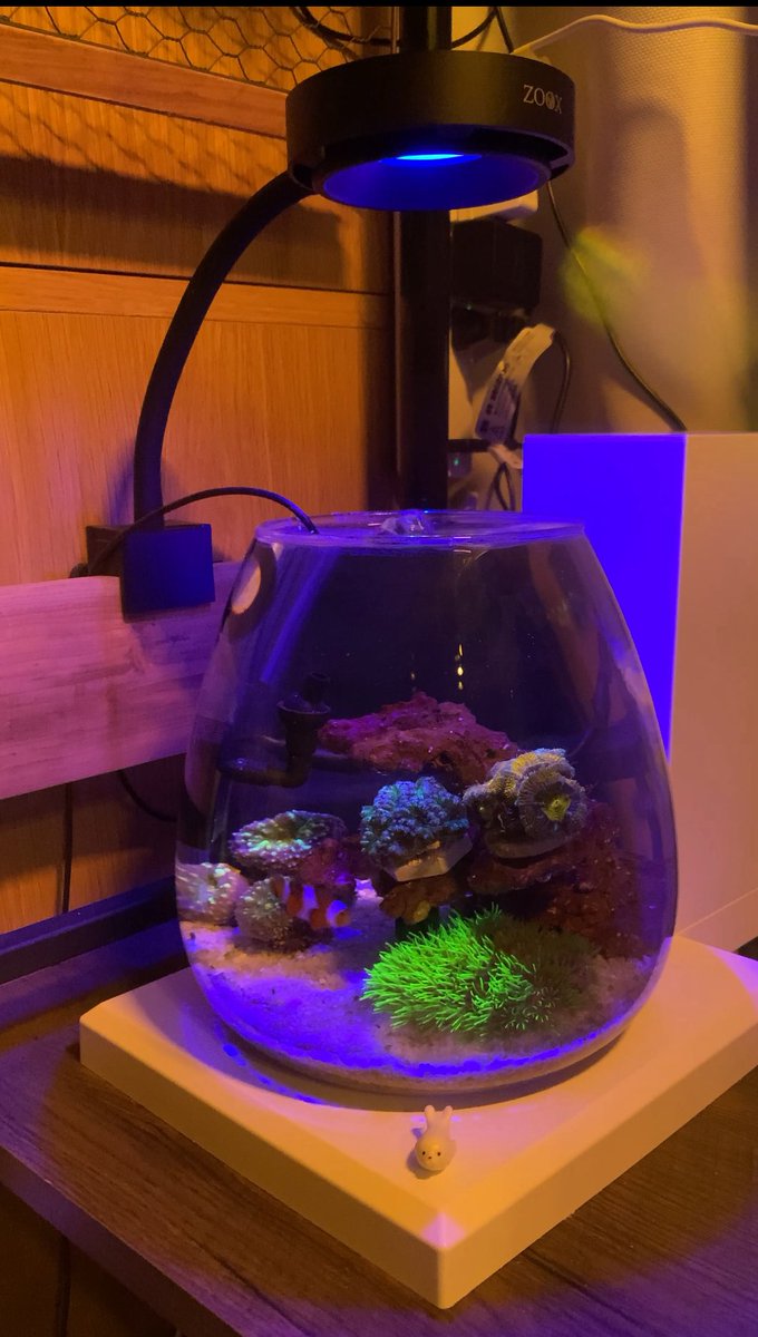 海水水槽 - Search / X