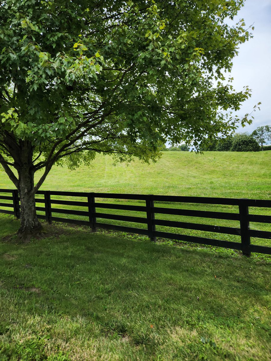 KyGirlMaureen's tweet image. #wildcardgame
The natural beauty of Kentucky is shown from just one snapshot taken  in Boone County yesterday!