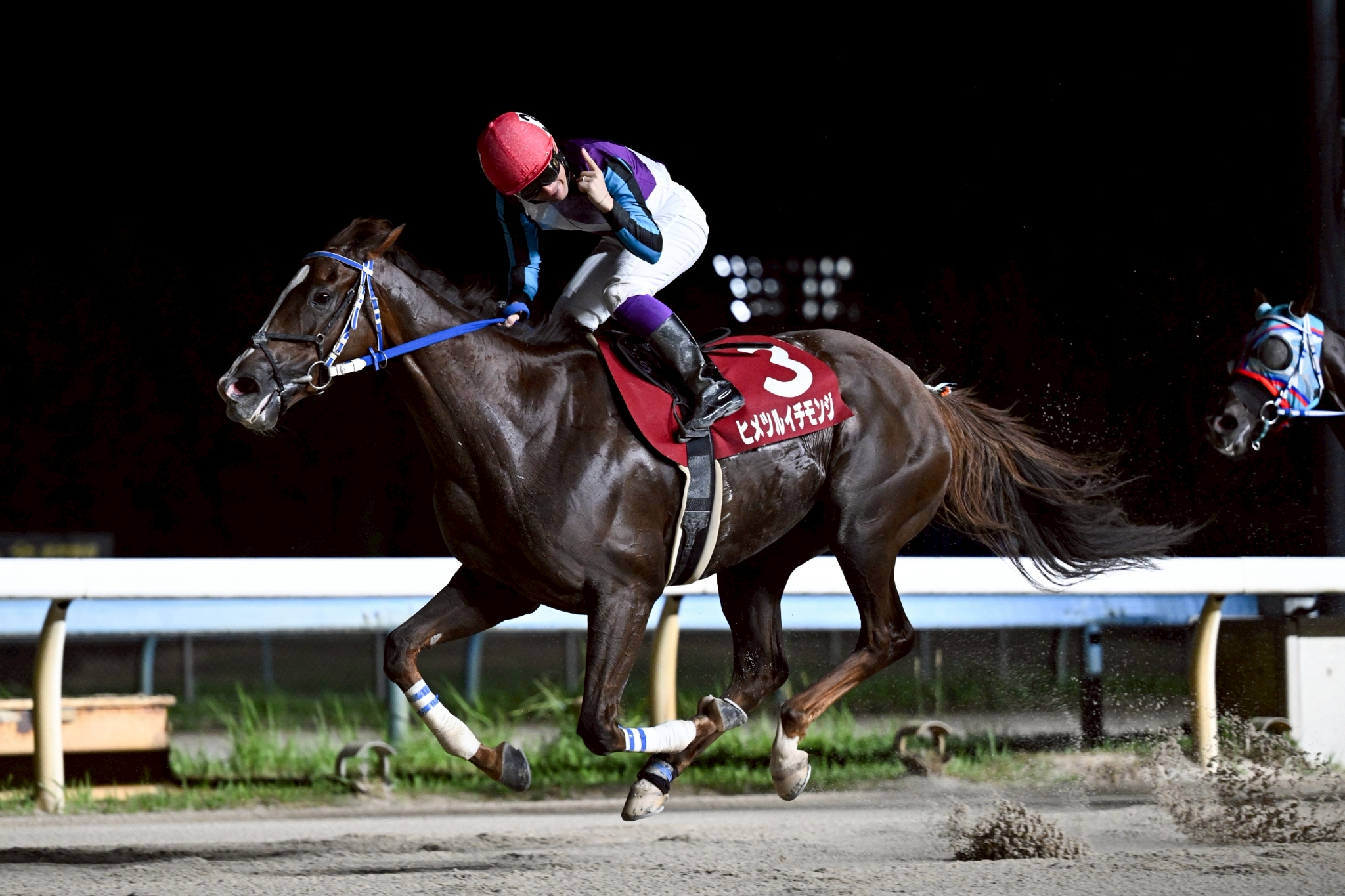 競走馬成績書22冊セット 地方競馬全国協会 地方競馬全国協会(NAR)公式 on X: