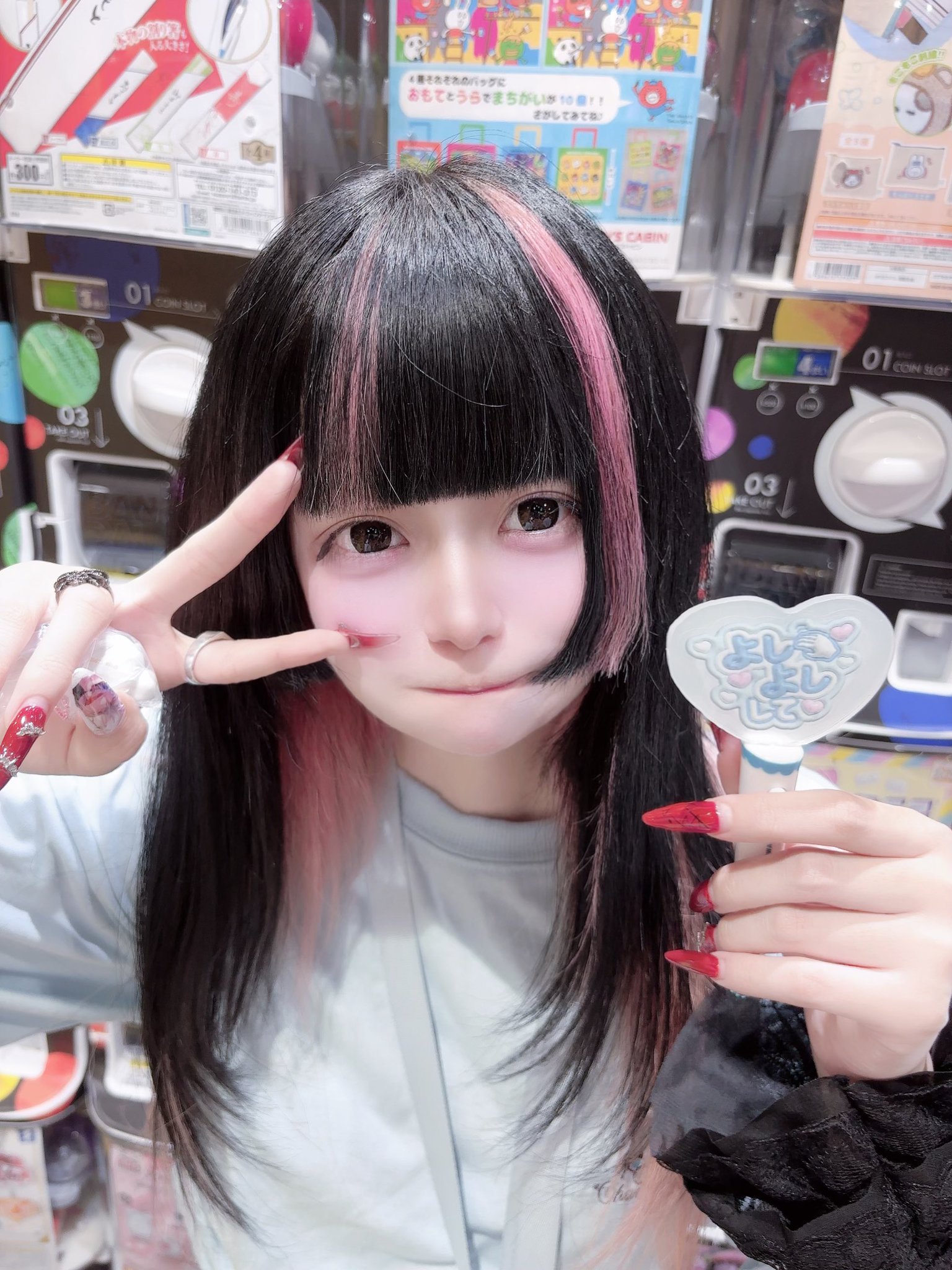 にゃんにゃん 動物大好き！NEWニャンちゃんワンちゃんスペシャル100 PHZD-104