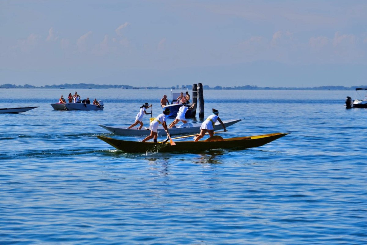 ✨ Festa del peòcio agli Alberoni | 19–24 agosto 2025 ✨

Chi c’è stato, lo sa: questa non è una semplice sagra, è un viaggio nei sapori e nelle storie della laguna. Tra le dune e la pineta, da un lato, e la laguna dall’altro, agli Alberoni nasce un festival che celebra il