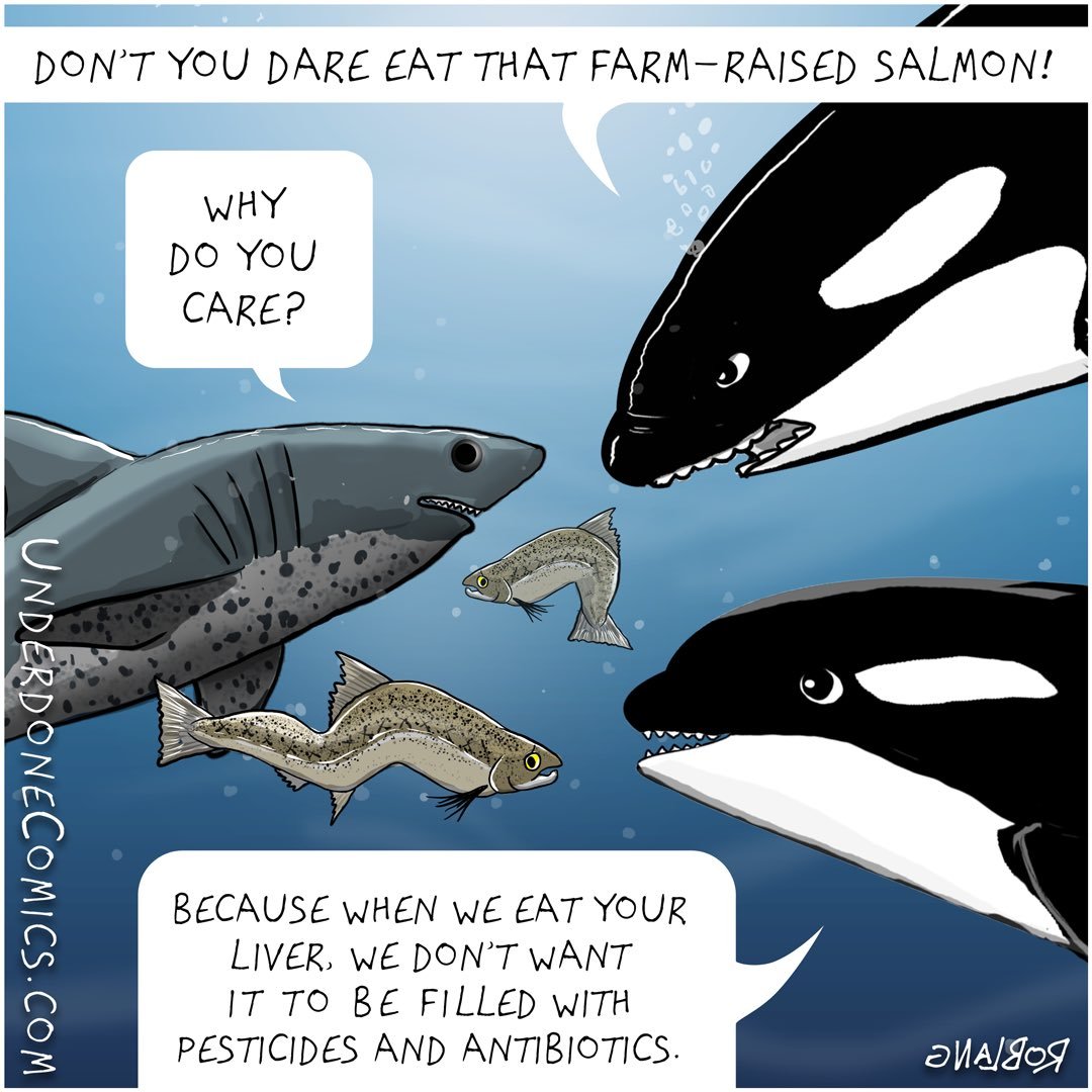 Accurate cartoon from <a href="/UnderdoneComics/">Underdone Comics by Rob Lang</a>