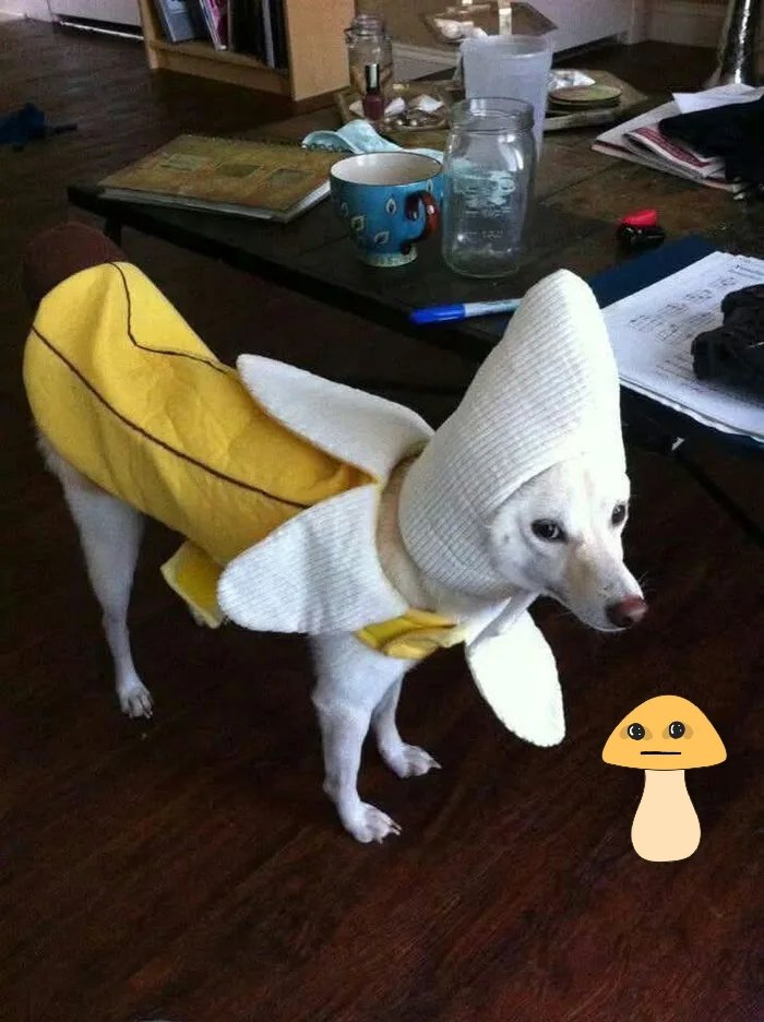 Chilling with a banana