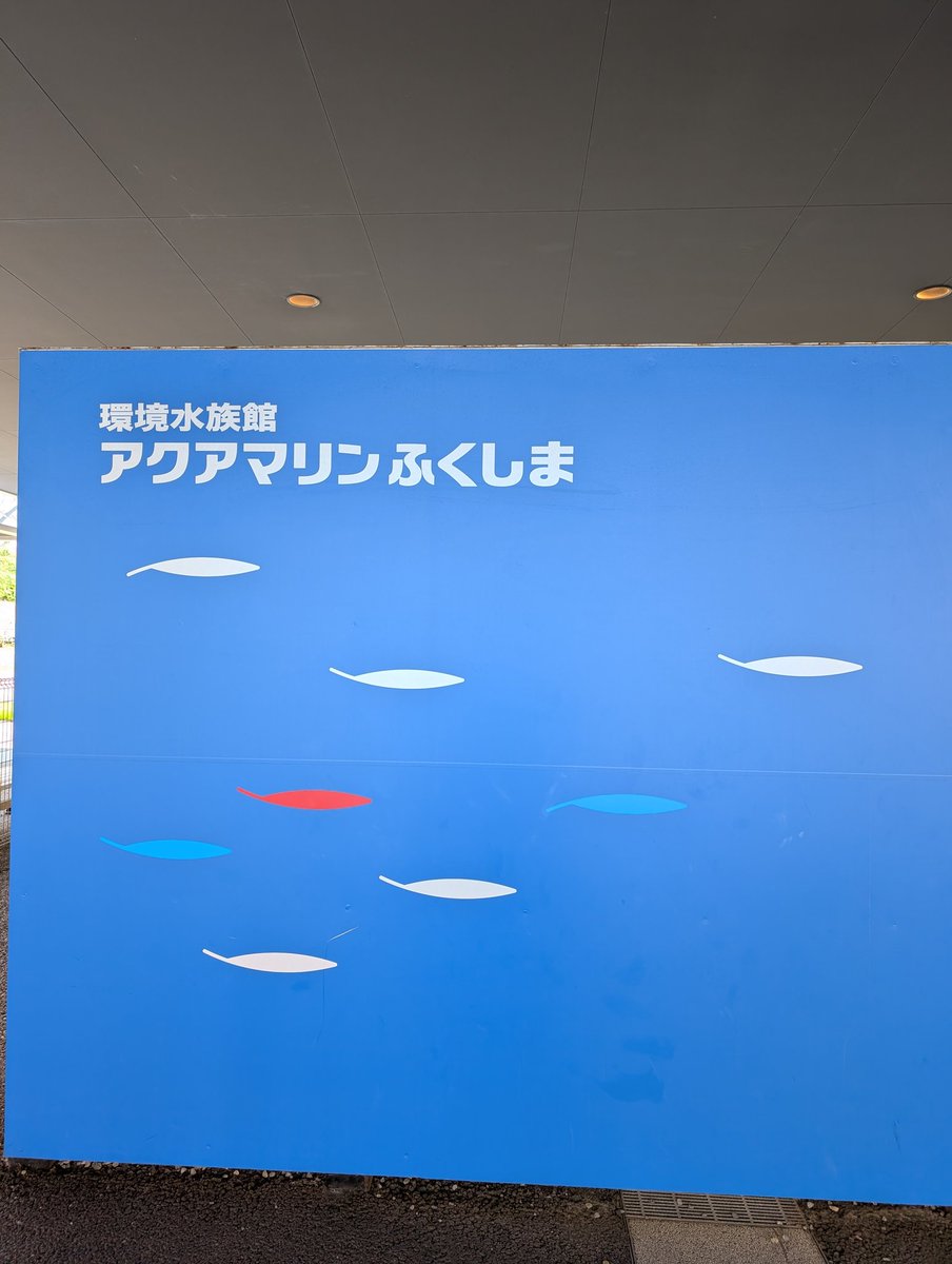 【驚愕】美容に携わり25年。髪だけじゃない！心も体も美しく健康に♪『アクアマリン福島』は単なる水族館ではありませんでした。『環境水族館』そう！環境について考える為の…考えさせられる水族館でした。❶プラスチックゴミ。❷サンゴの白化❸地球温暖化。3.１１からの新しい施設で感じた事です。