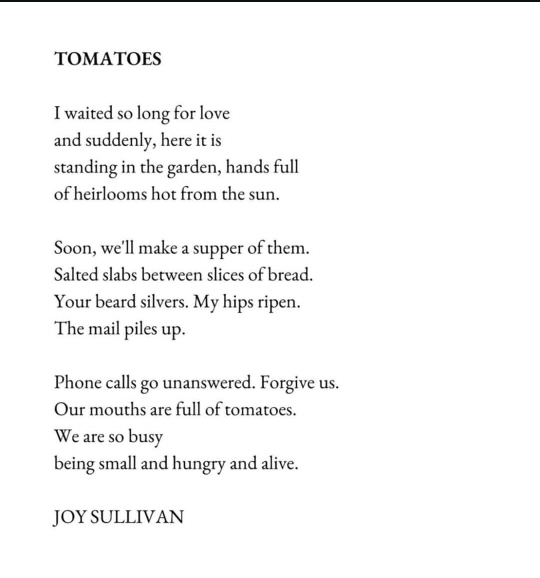 Hassan Olayemi ALAKA ✨️ tweet media