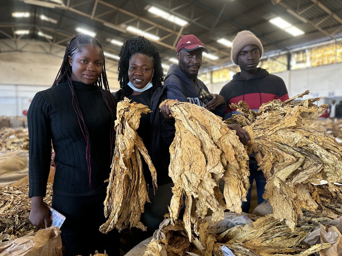 Tobacco Industry & Marketing Board tweet media